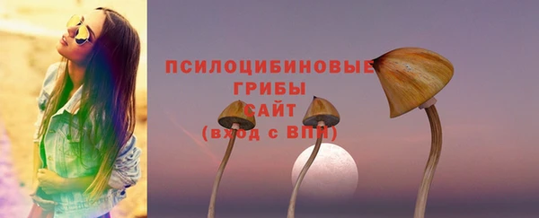 дживик Алексеевка