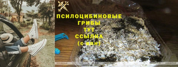 дживик Алексеевка
