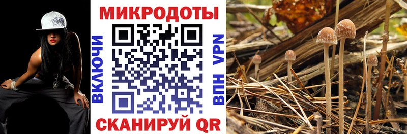 где продают Сасово Псилоцибиновые грибы мухоморы